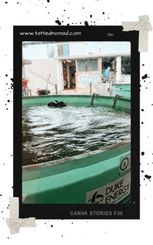 Clearwater Beach, FL