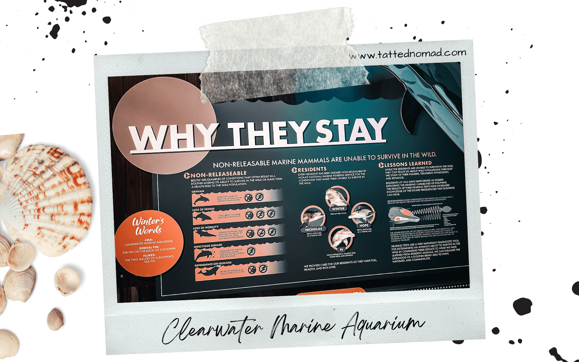 Clearwater Beach, FL