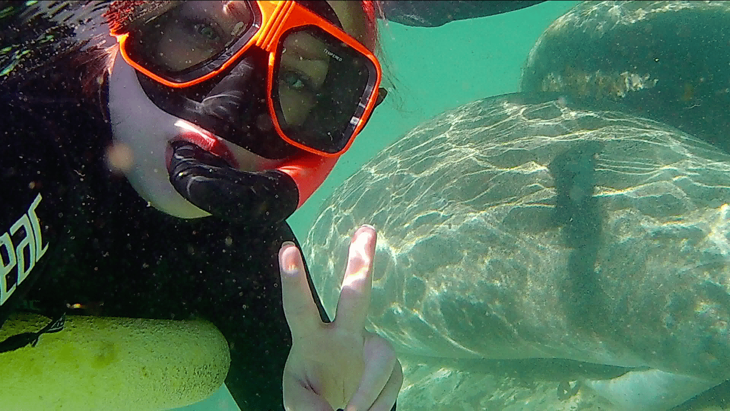 Meeting with manatee feeling fulfilled in life