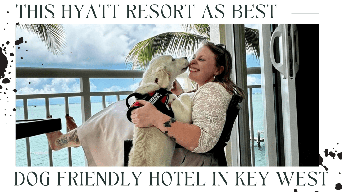 Hyatt Resort As Best Of all Pet Friendly Hotels In Key West