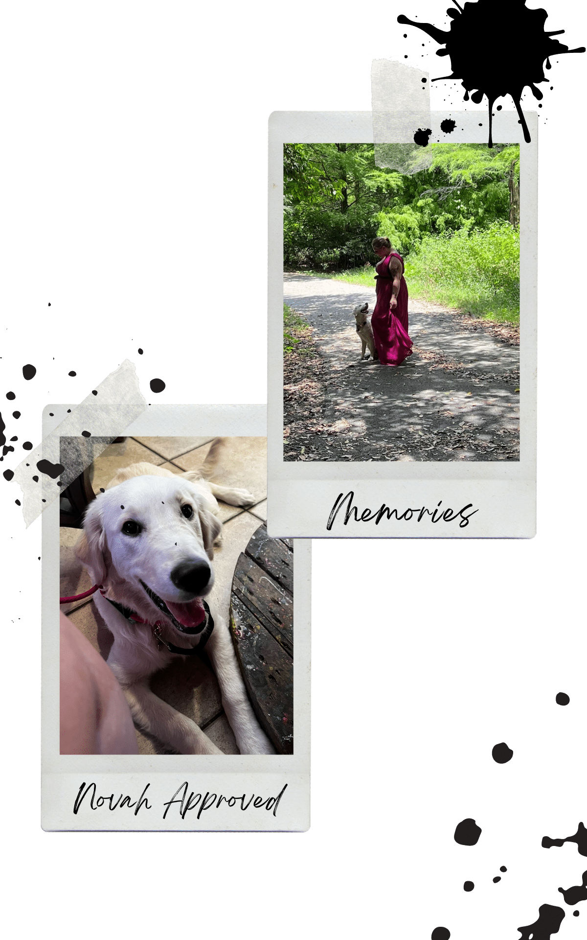 Park Memories with dog