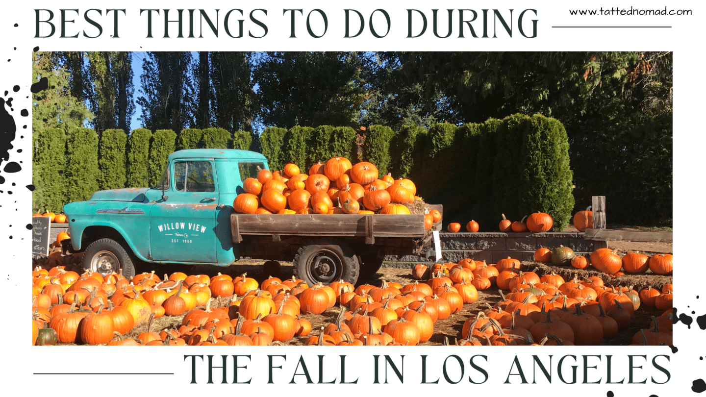 FAll in Los Angeles