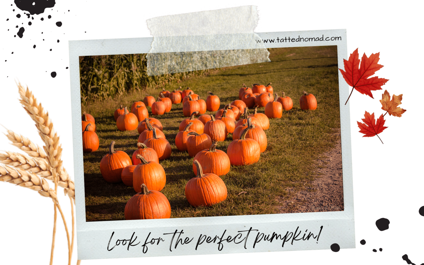 Best Things To Do In NYC In Fall 2023