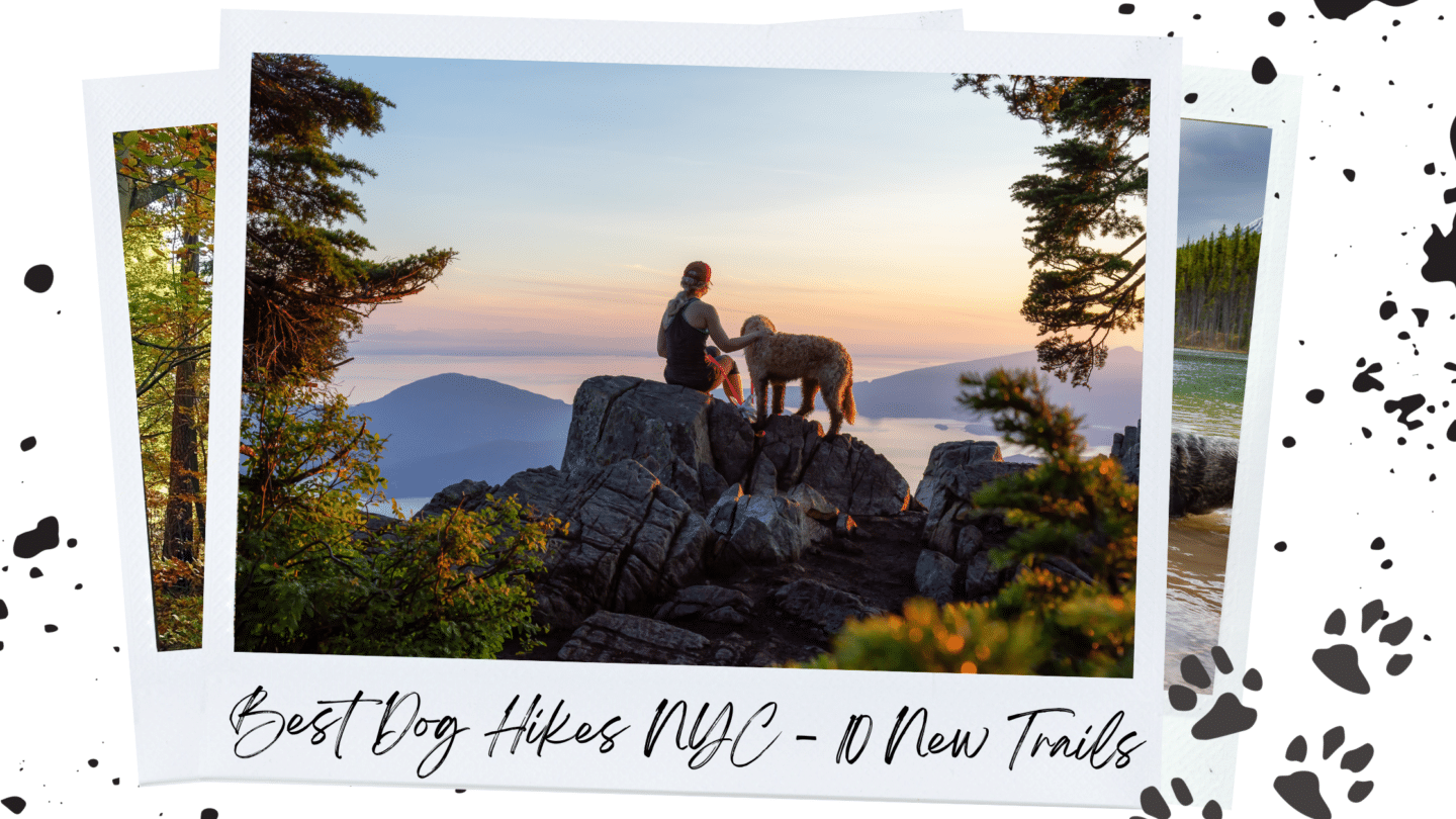 Best Dog Hikes NYC – Top 10 New Trails