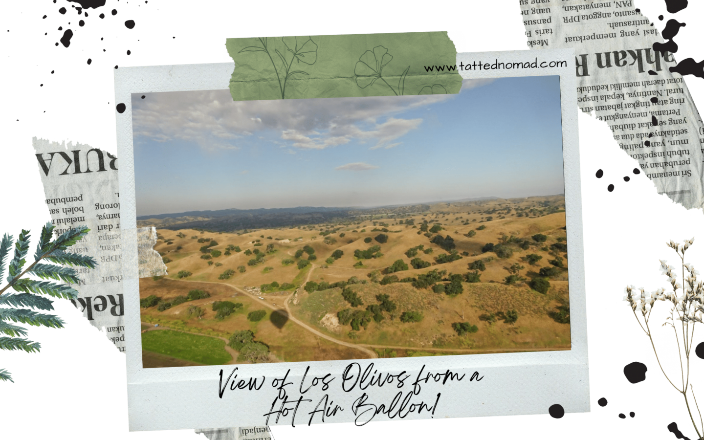 view of a field in los olivos from the sky