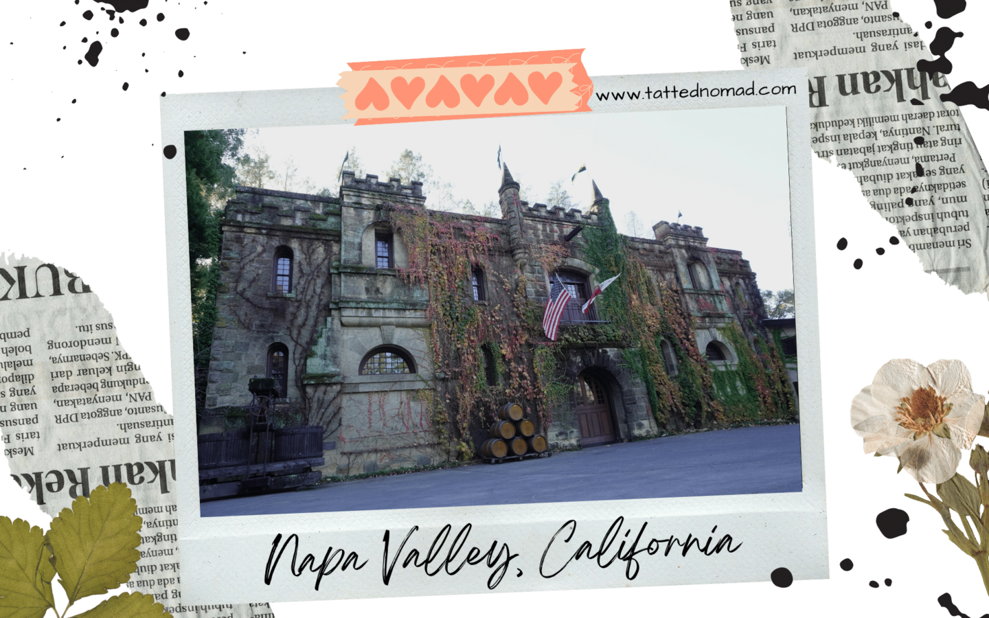 chateau montelena old castle with walls covered with ivy in napa valley