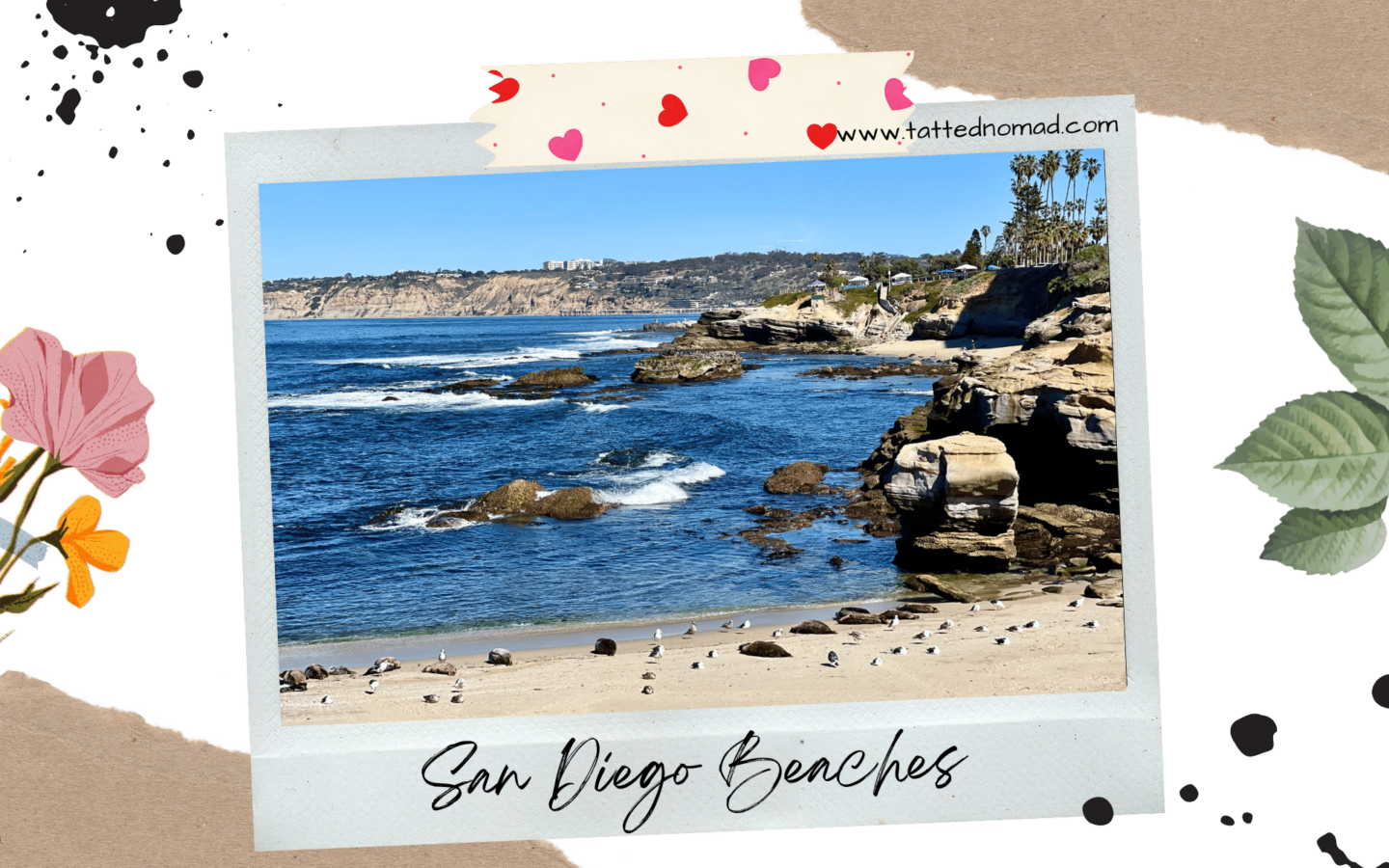 beach with rocks in san diego california