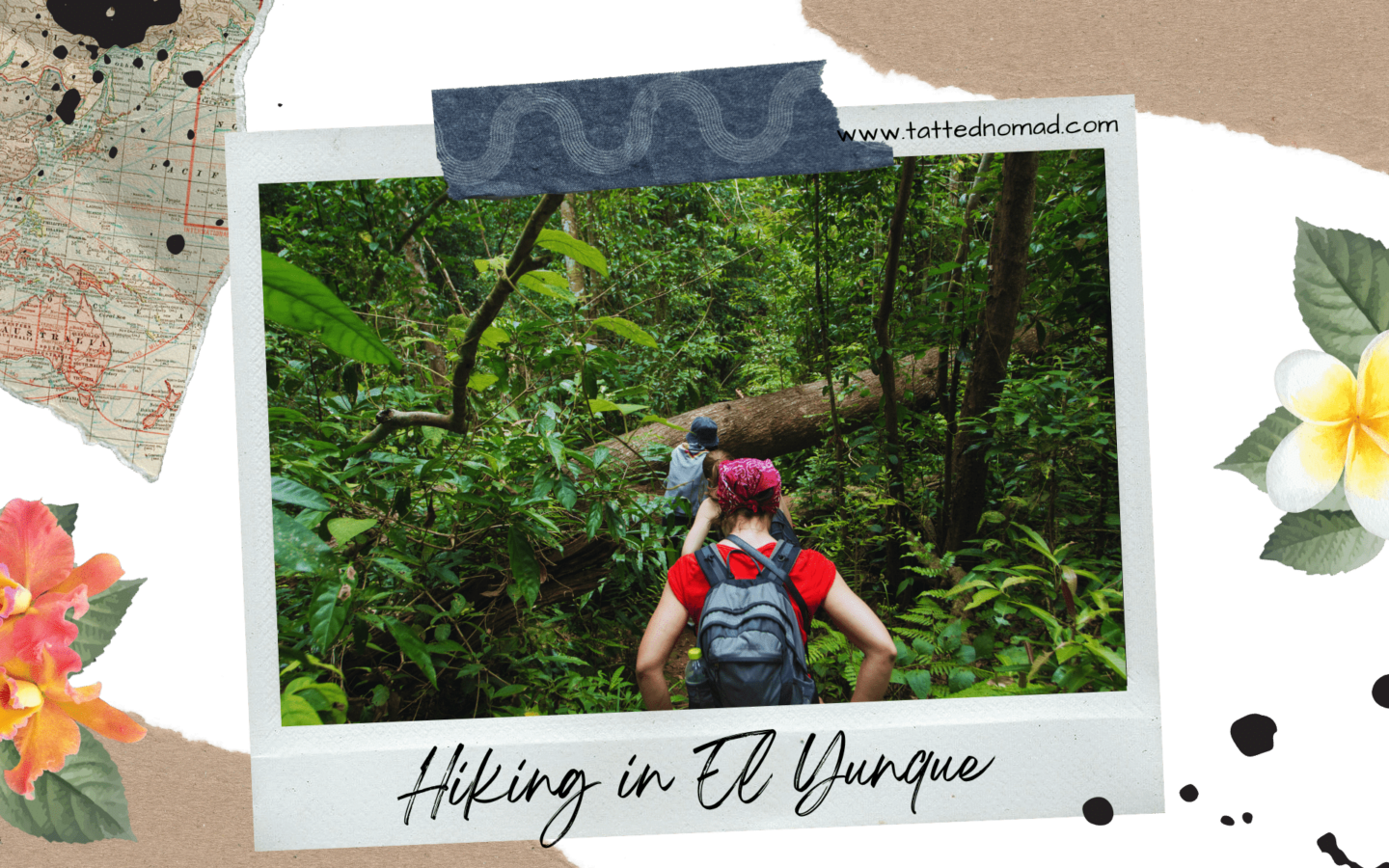 two people hiking through a trail in the forest surrounded by trees