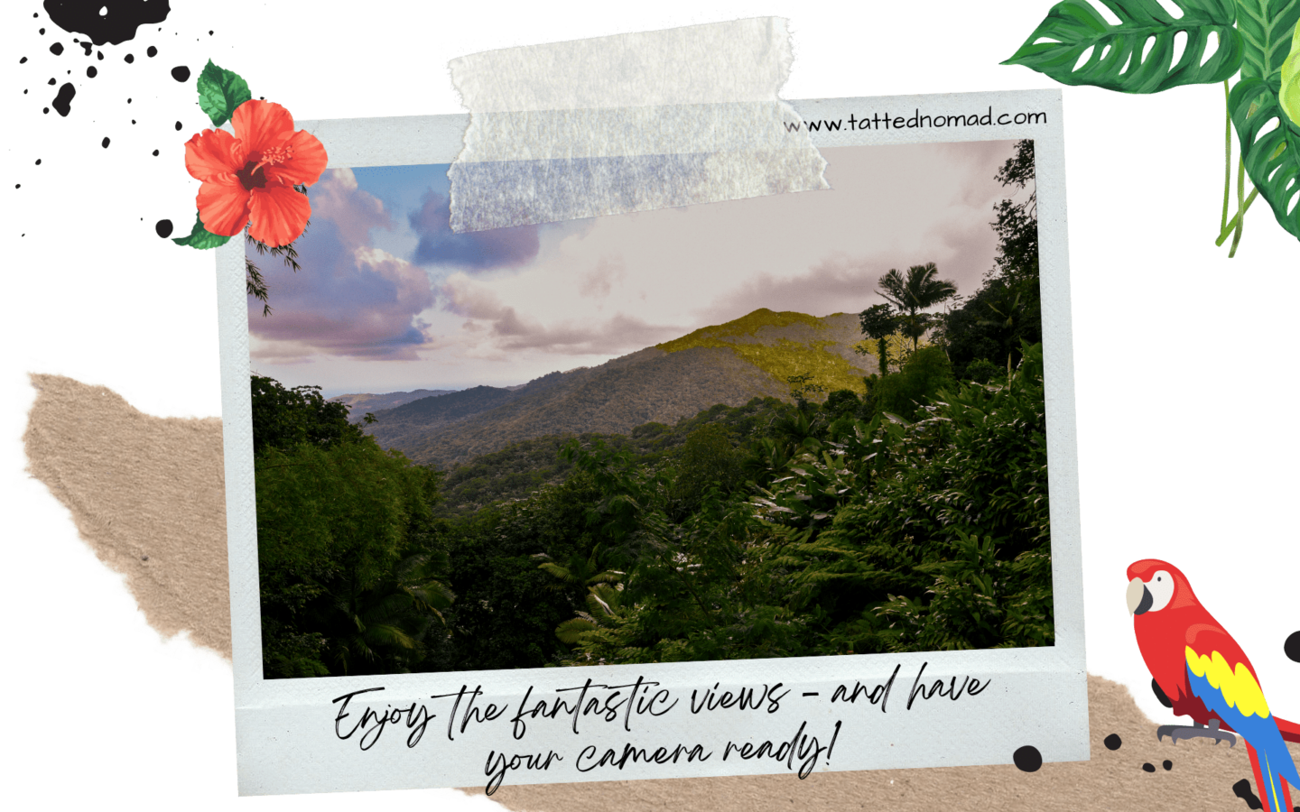 view of the trees and mountains in el yunque rainforest in puerto rico