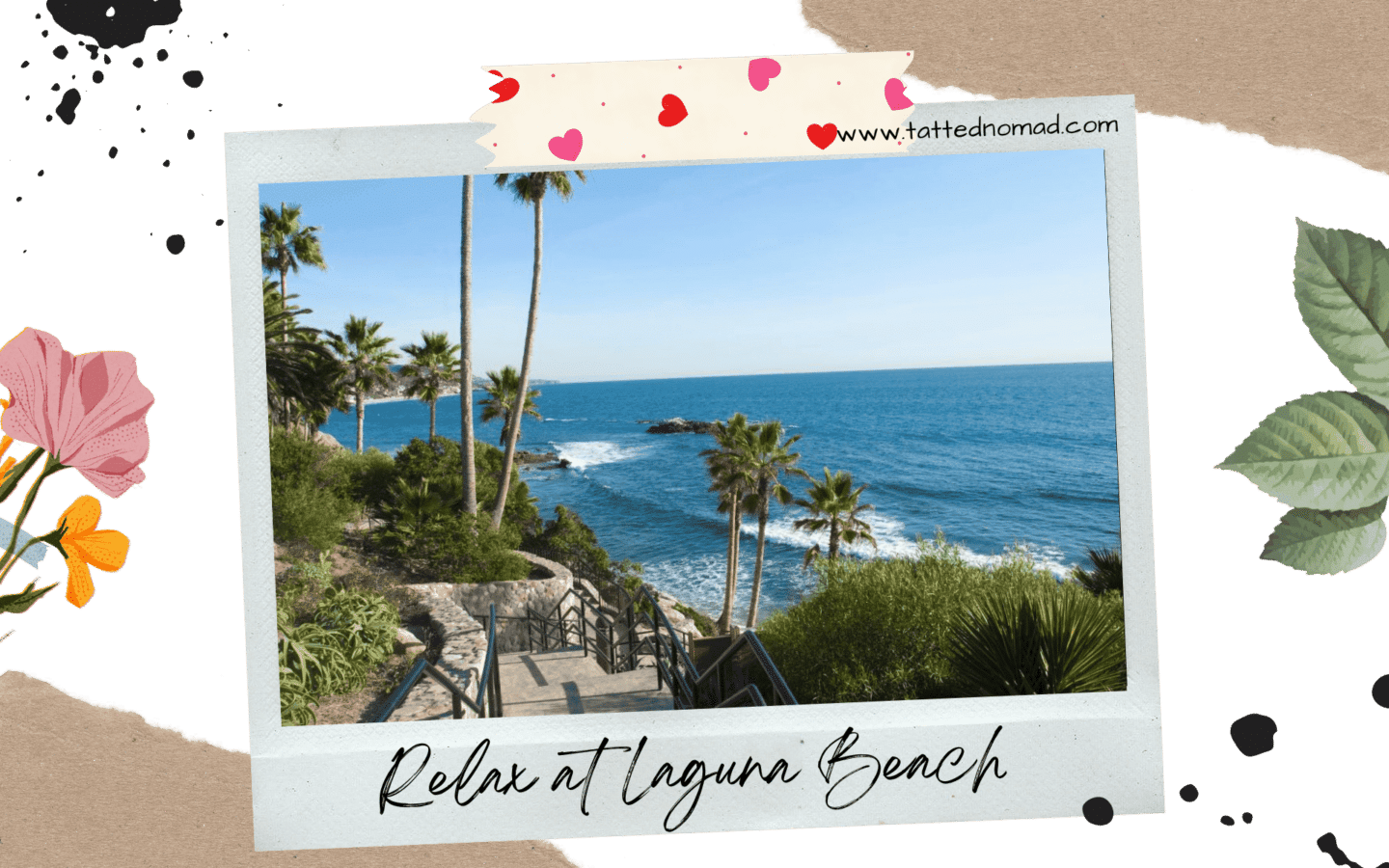 ocean and palm trees at laguna beach california