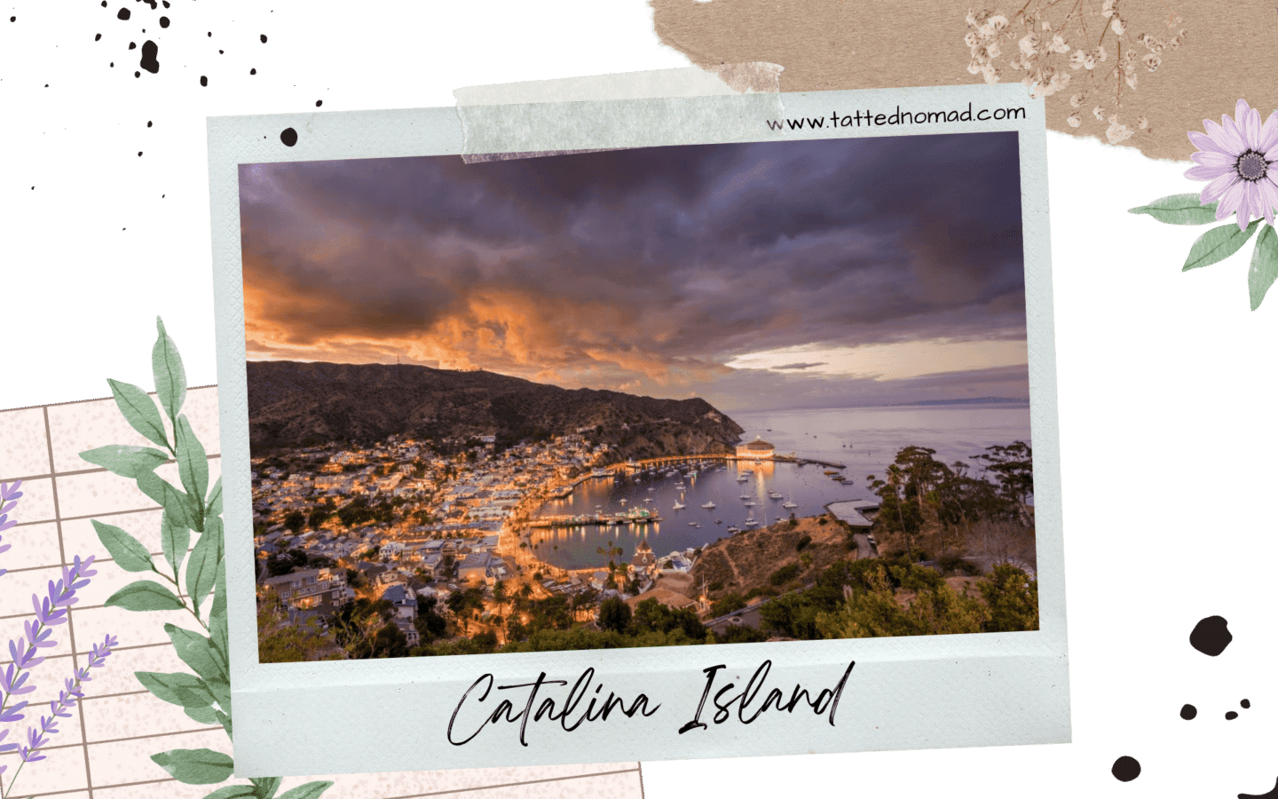 view of the coast on catalina island california