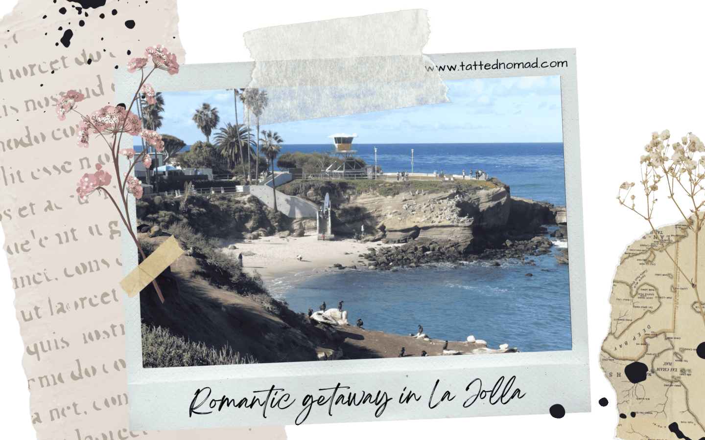 view of the coast in la jolla california