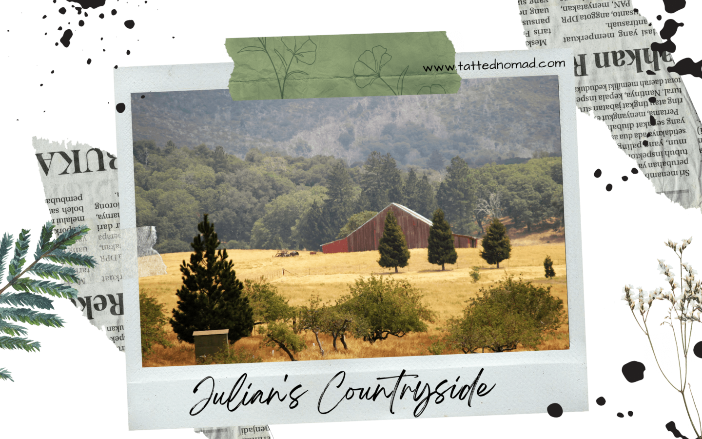 trees and mountains in the countryside in julian california