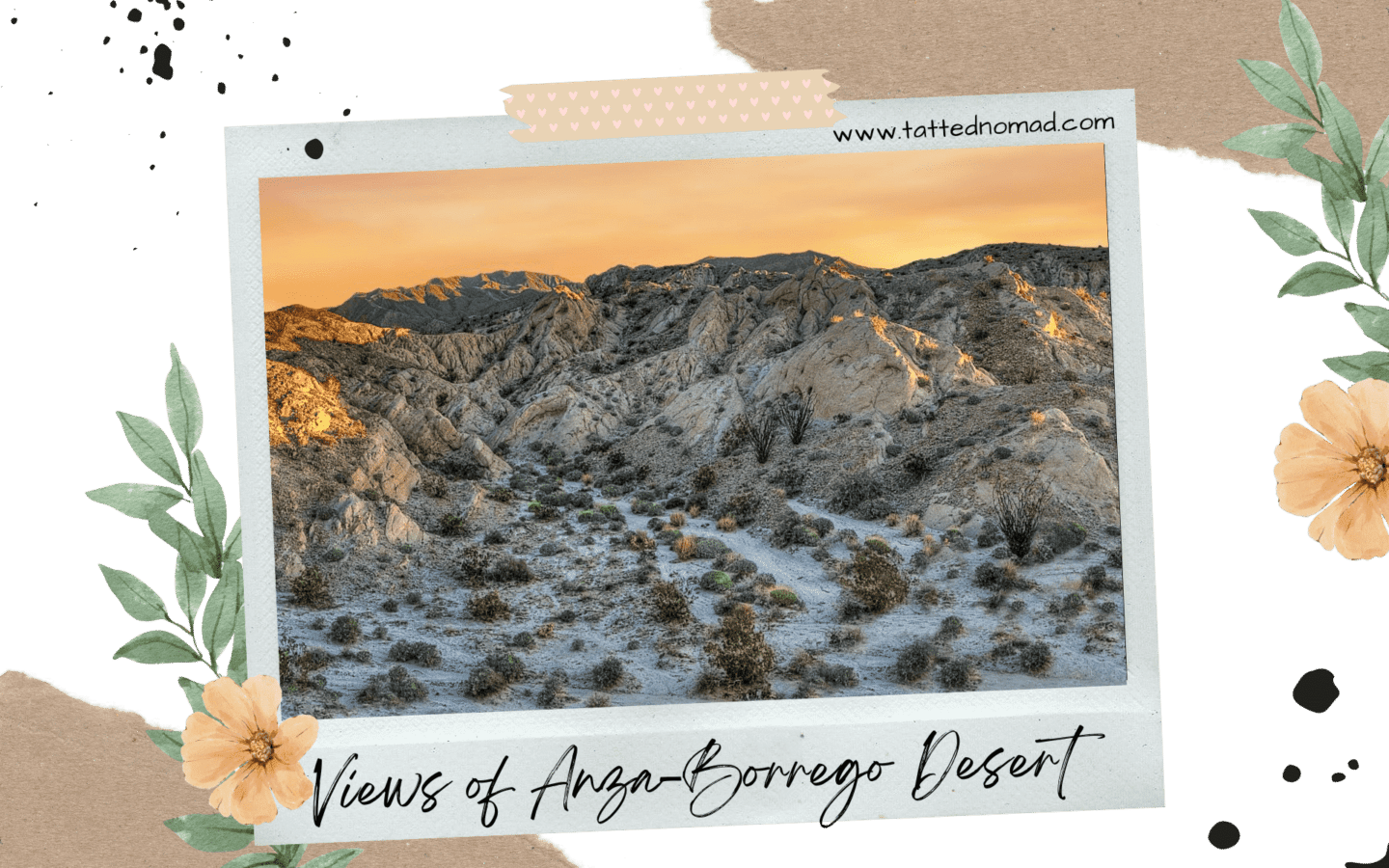 anza borrego desert