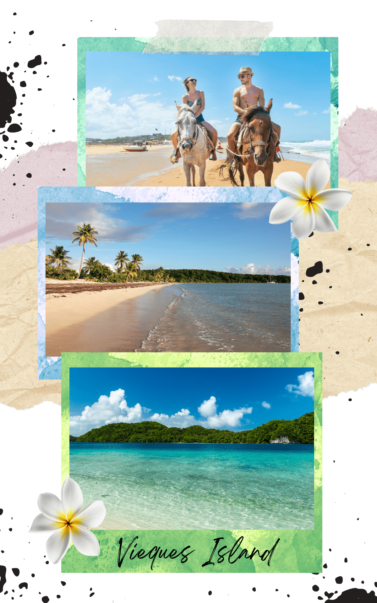 photos of the beach in vieques island puerto rico