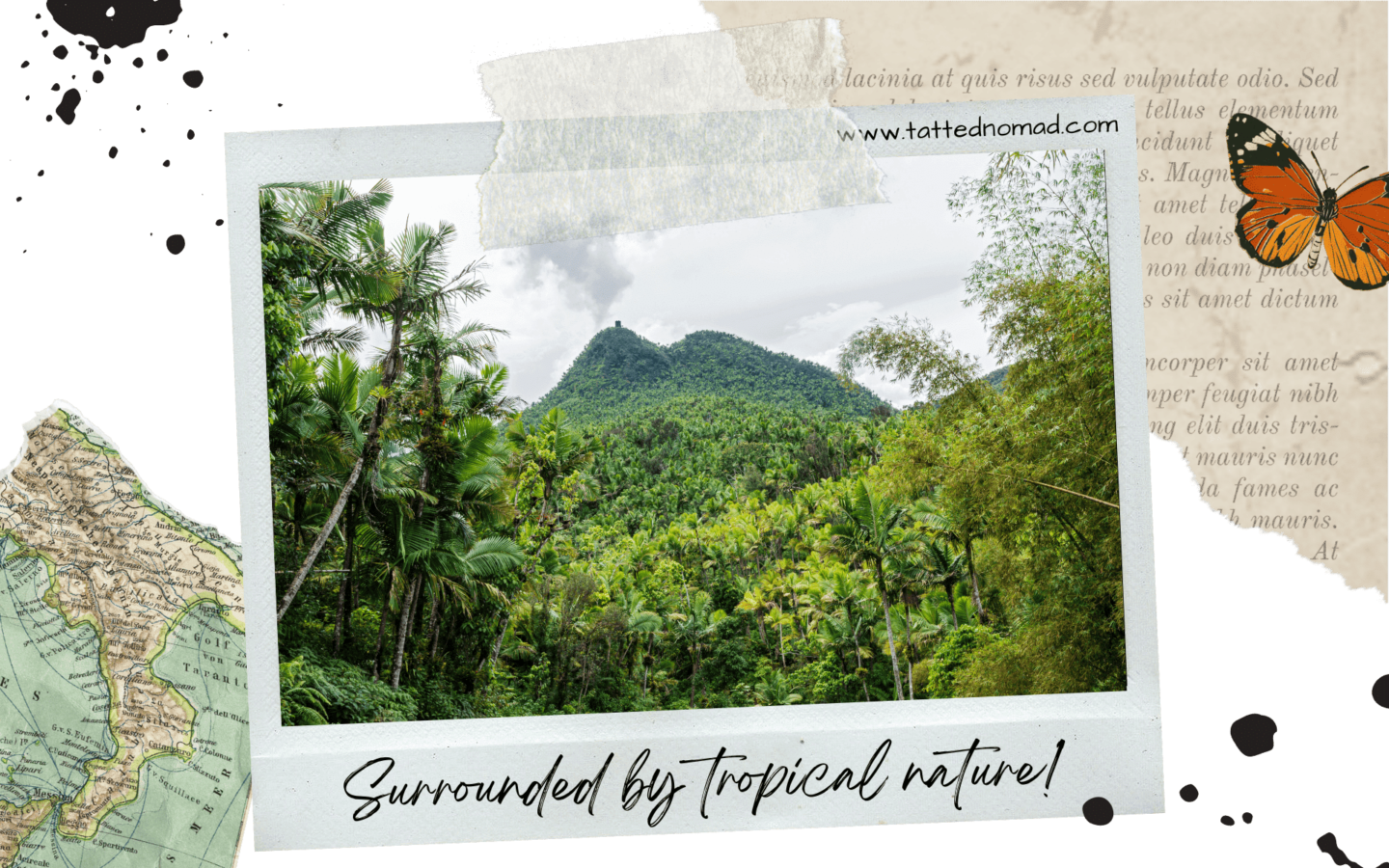 mountains and tropical trees in el yunque rainforest in puerto rico