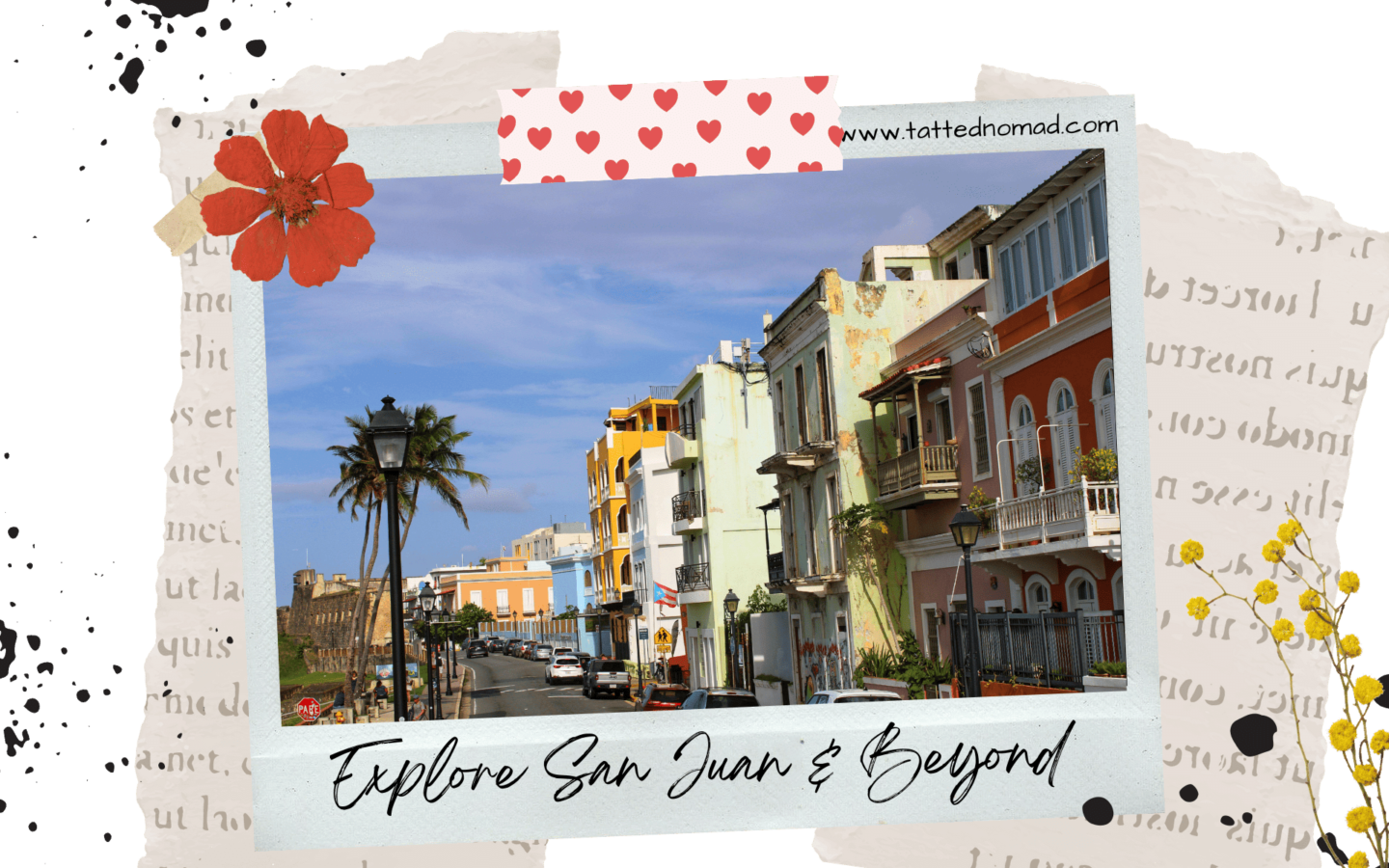 street in old san juan city puerto rico with a palm tree on the left and colorful buildings on the right