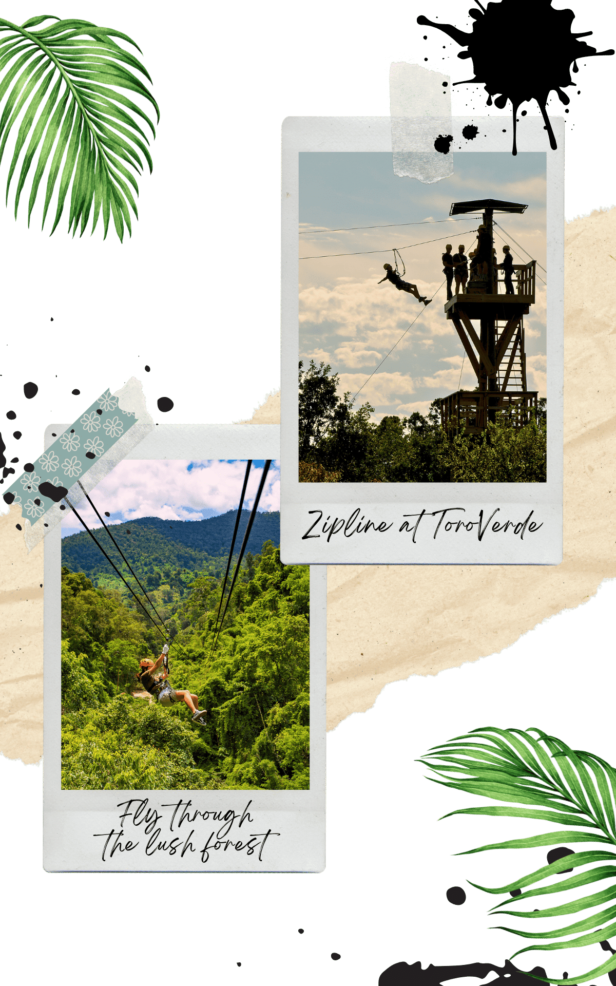 toroverde adventure park in puerto rico people doing ziplining with trees and mountains on the background