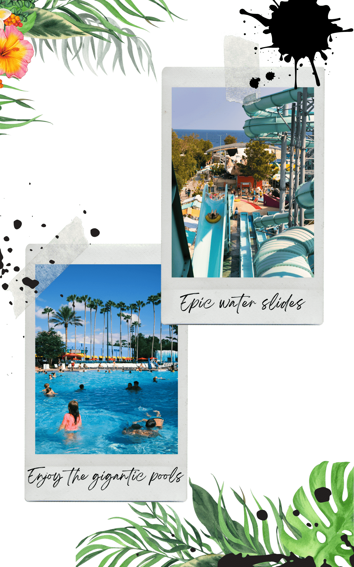 people swimming on a pool and sliding down a water slide in las cascadas waterpark in puerto rico