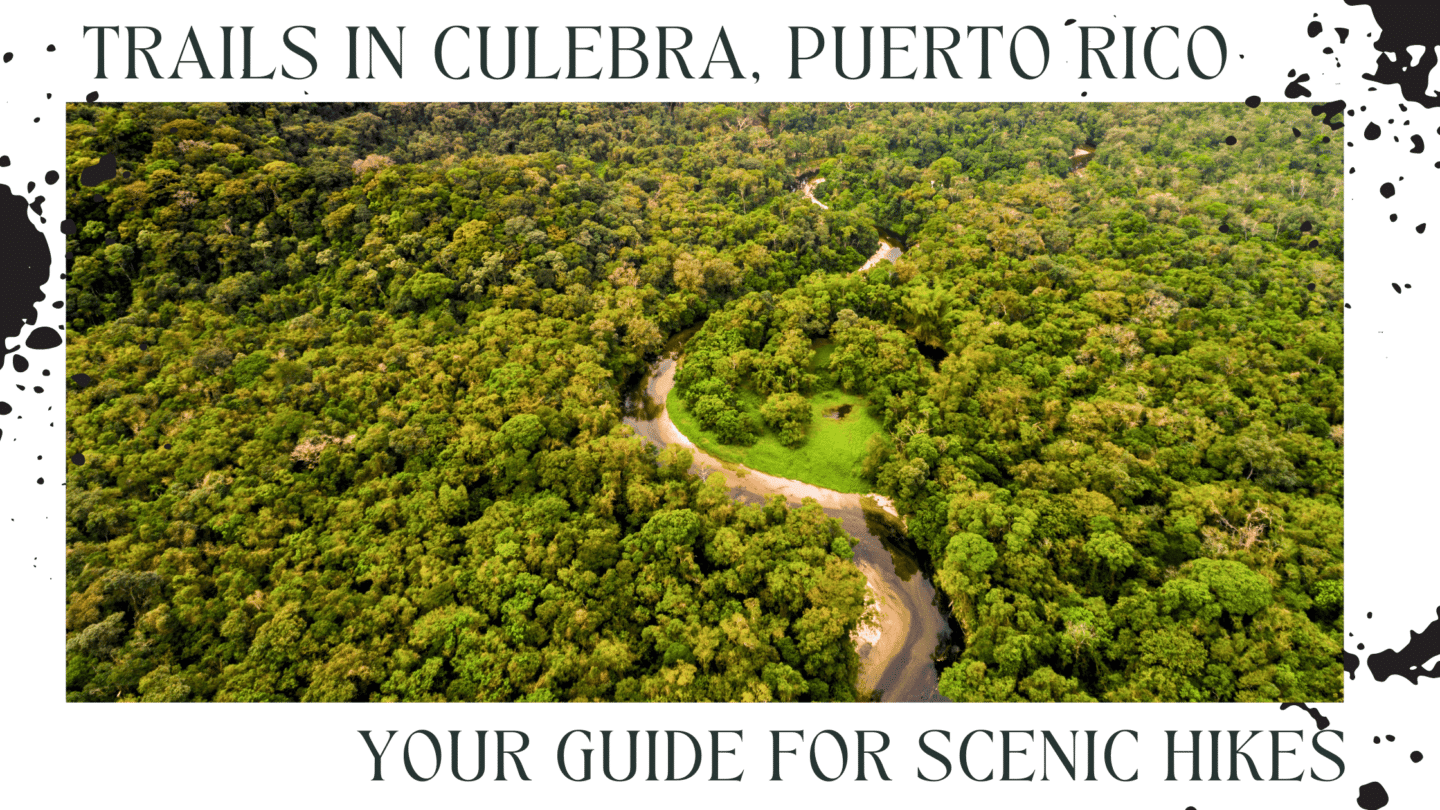 view of the canopy and a hiking trail in the middle in culebra puerto rico trails in culebra banner